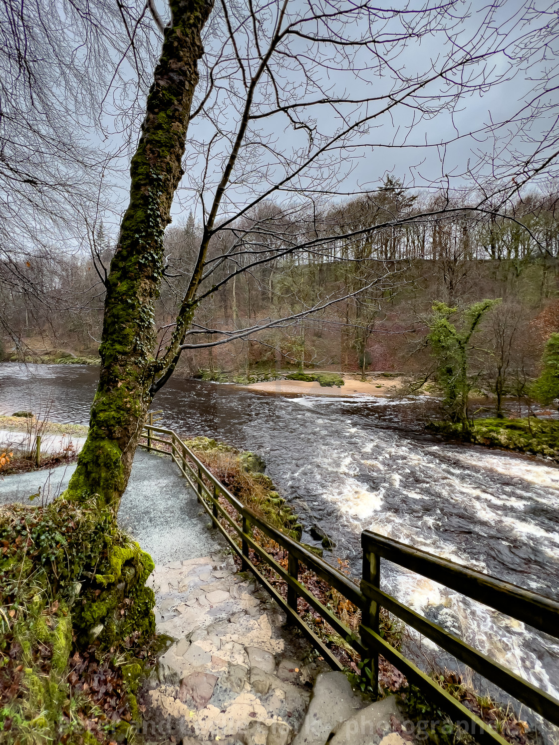 "Path on the banks of the River Wharfe near Bolton Abbey in the Yorkshire Dales, England, UK. Photographed 1st March 2024" stock image