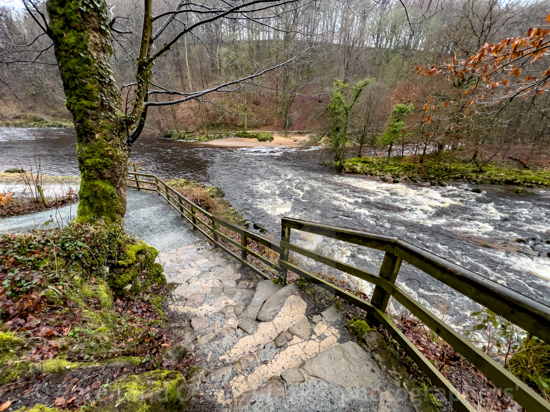 "Path on the banks of the River Wharfe near Bolton Abbey in the Yorkshire Dales, England, UK. Photographed 1st March 2024" stock image