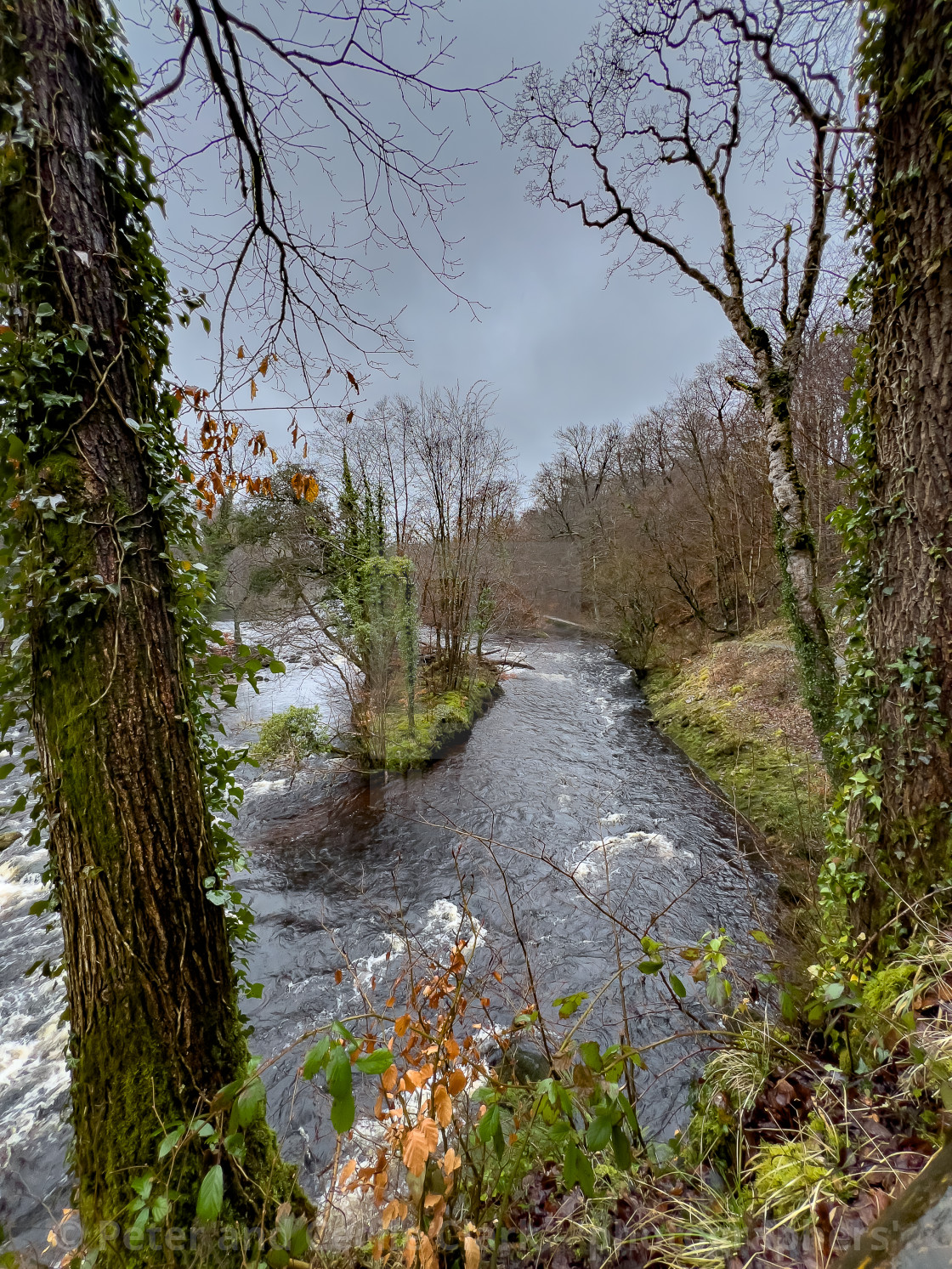 "Turbulent River Wharfe near Bolton Abbey in the Yorkshire Dales, England, UK. Photographed 1st March 2024" stock image