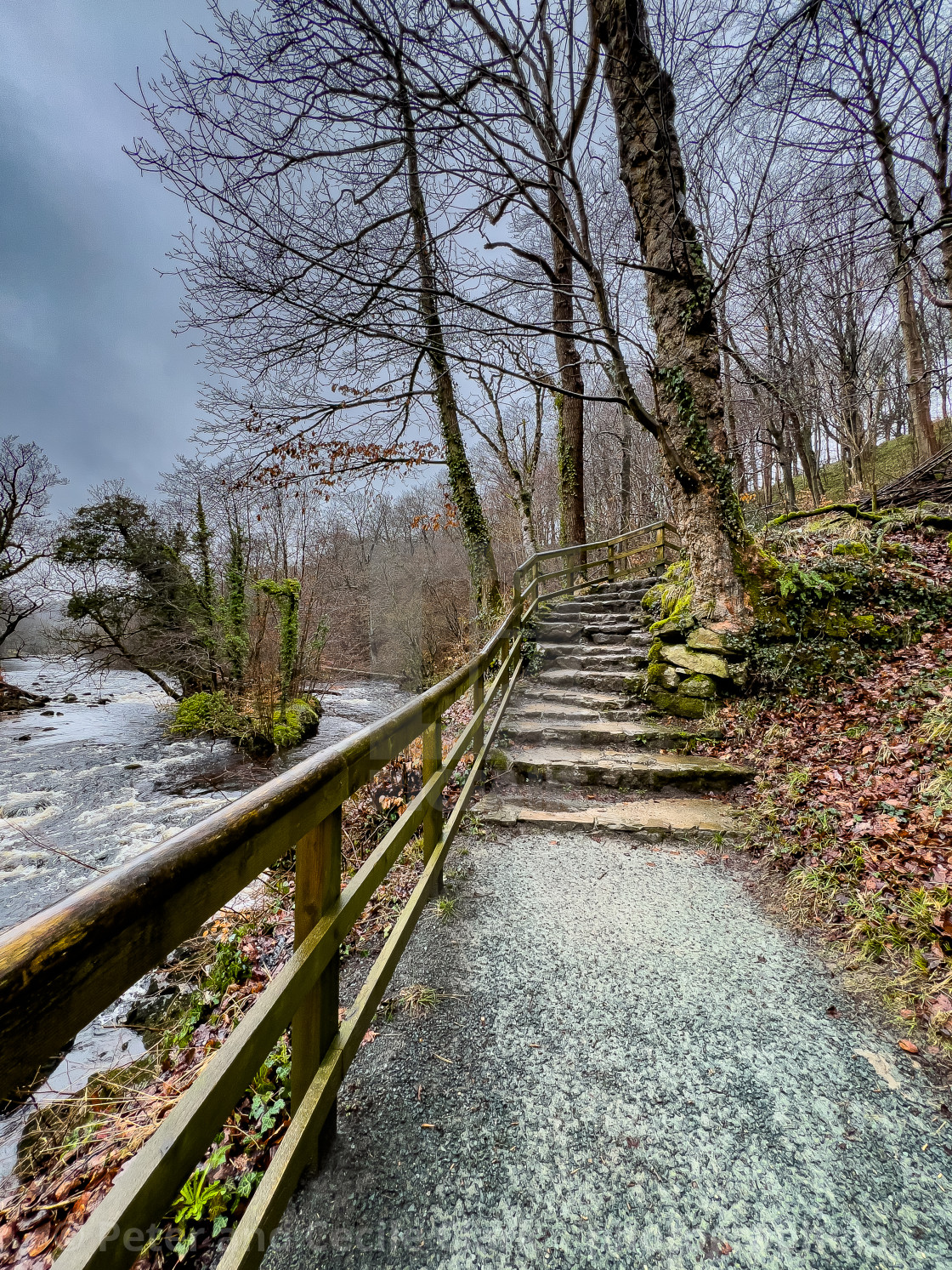 "Path on the banks of the River Wharfe near Bolton Abbey in the Yorkshire Dales, England, UK. Photographed 1st March 2024" stock image