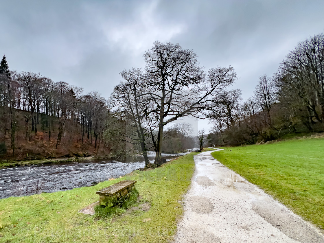 "Stone seat on the banks of the River Wharfe near Bolton Abbey in the Yorkshire Dales, England, UK. Photographed 1st March 2024" stock image