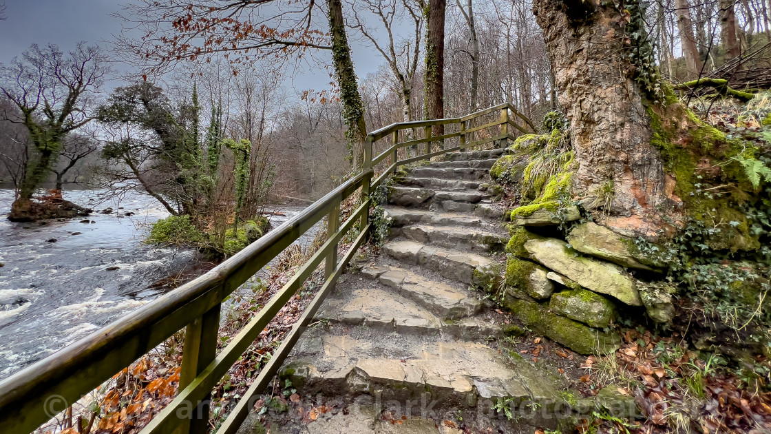 "Path on the banks of the River Wharfe near Bolton Abbey in the Yorkshire Dales, England, UK. Photographed 1st March 2024" stock image