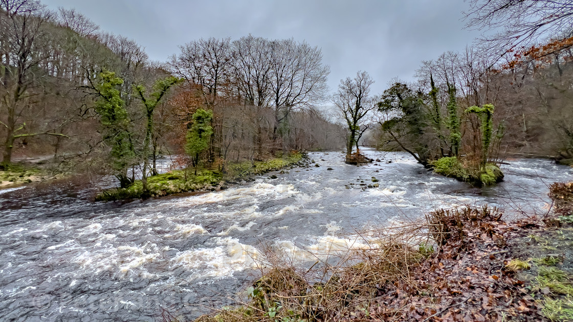 "Turbulent River Wharfe near Bolton Abbey in the Yorkshire Dales, England, UK. Photographed 1st March 2024" stock image