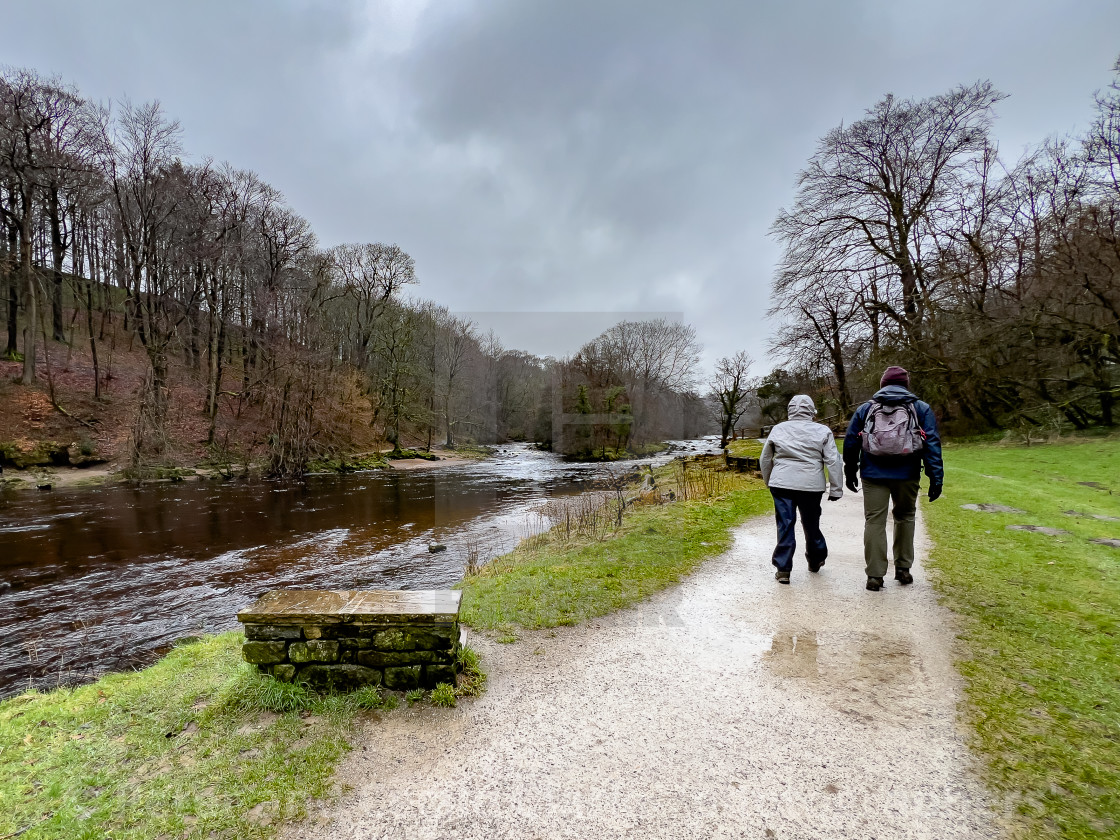 "Walkers on path on the banks of the River Wharfe near Bolton Abbey in the Yorkshire Dales, England, UK. Photographed 1st March 2024" stock image