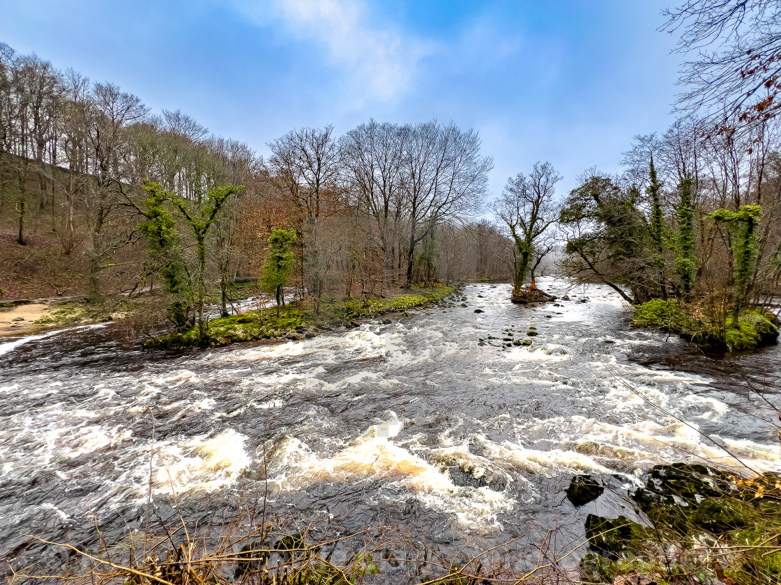 "River Wharfe near Bolton Abbey in the Yorkshire Dales, England, UK. Photographed 1st March 2024" stock image