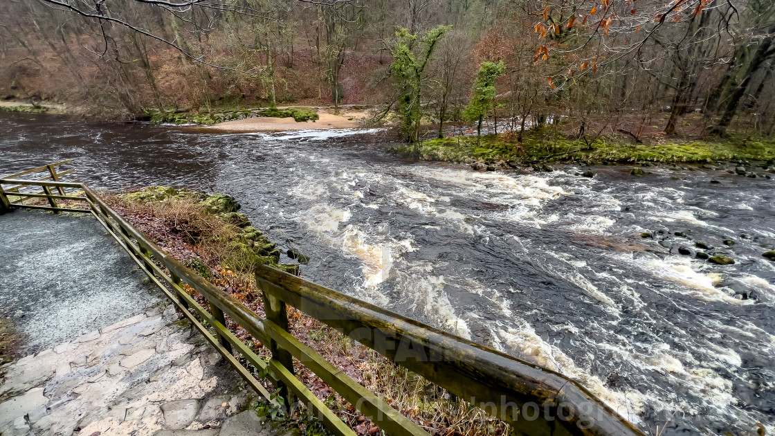 "Path on the banks of the River Wharfe near Bolton Abbey in the Yorkshire Dales, England, UK. Photographed 1st March 2024" stock image