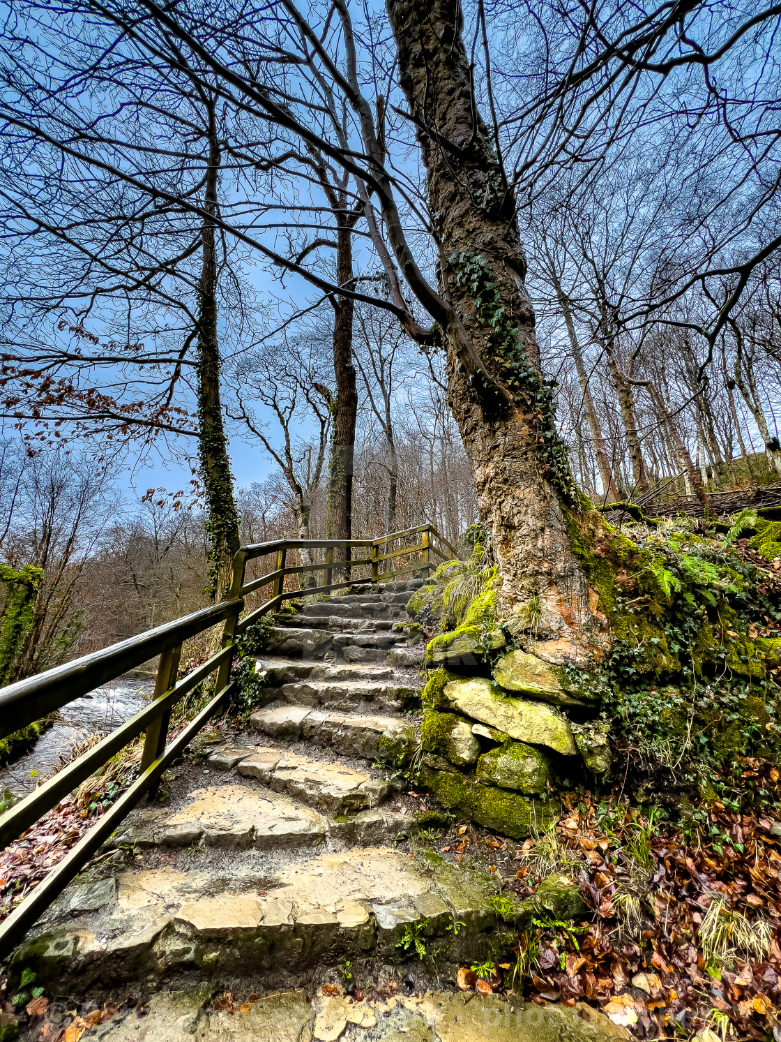 "Path on the banks of the River Wharfe near Bolton Abbey in the Yorkshire Dales." stock image