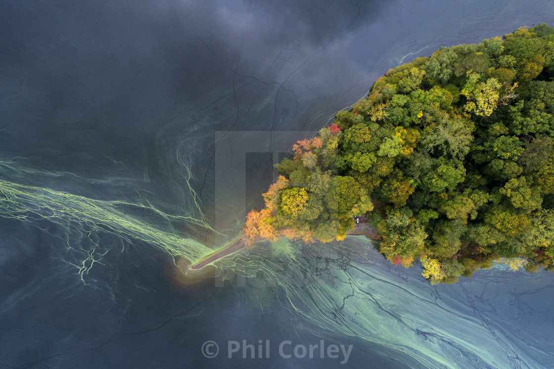 "St Herberts Island Algae" stock image