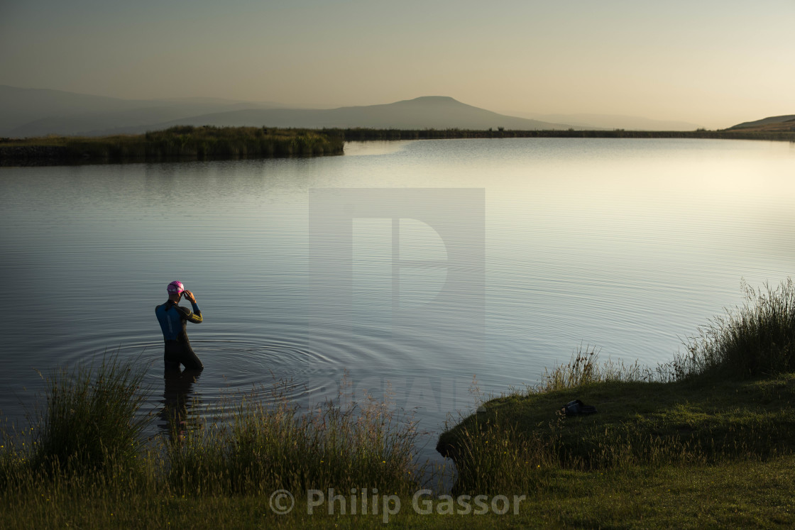 "Morning Dip" stock image