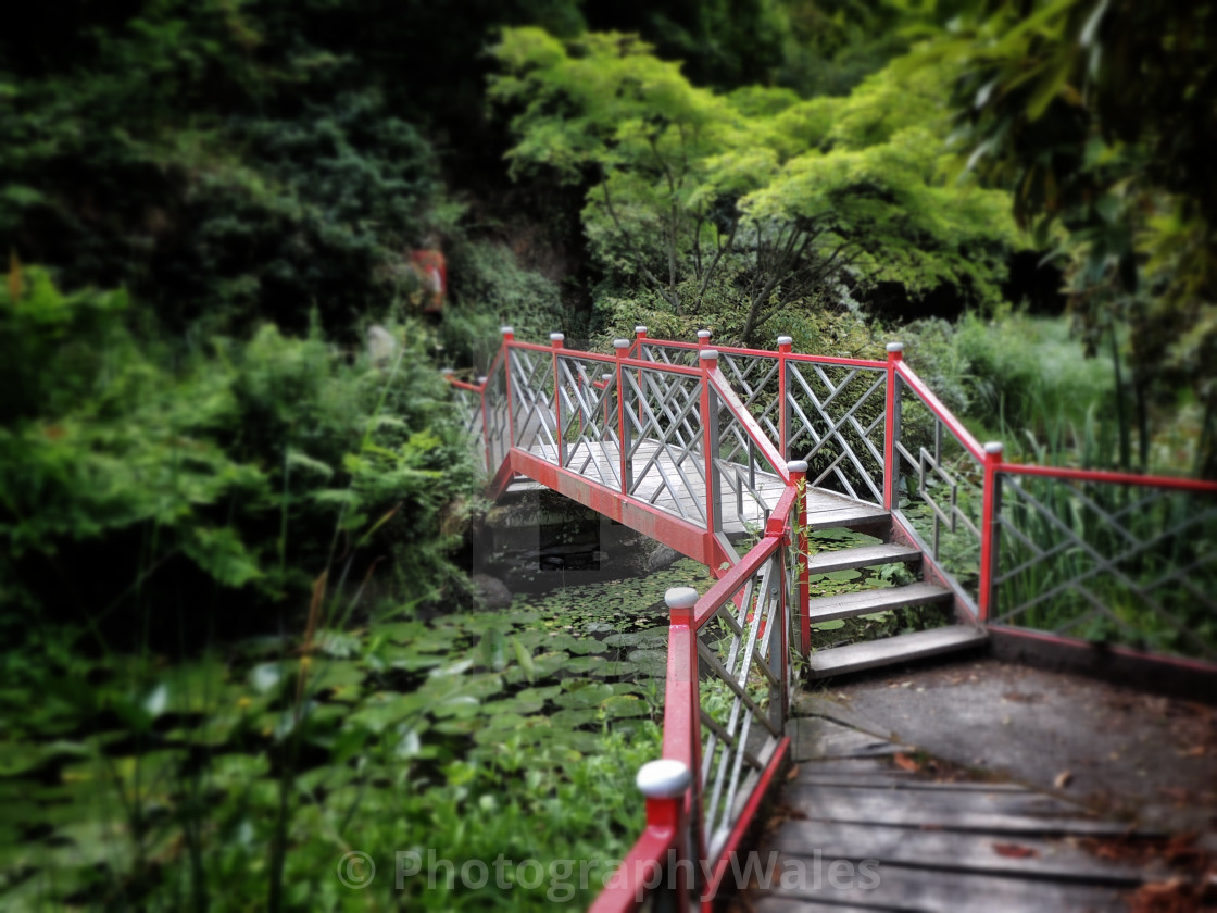 "Japanese Bridge at Portmeirion" stock image