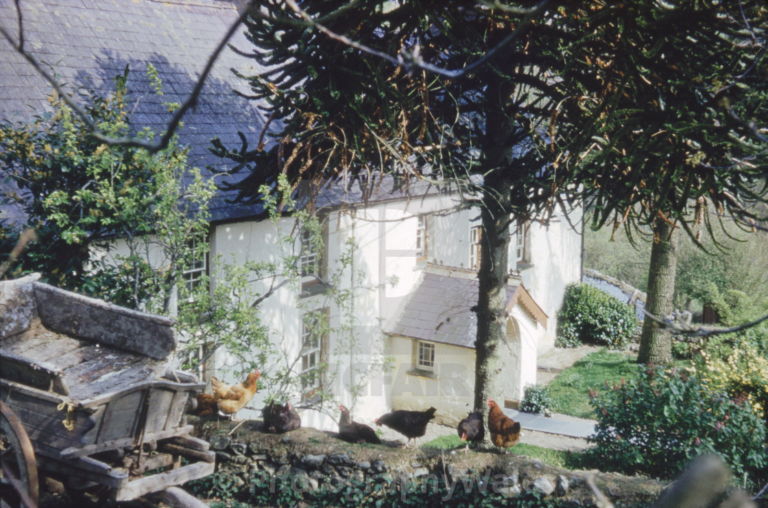 "Pantycelyn, Llanfair-ar-y-Bryn (c.1960)" stock image