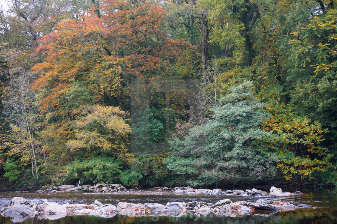 "The Afon Mawddach in Autumn" stock image