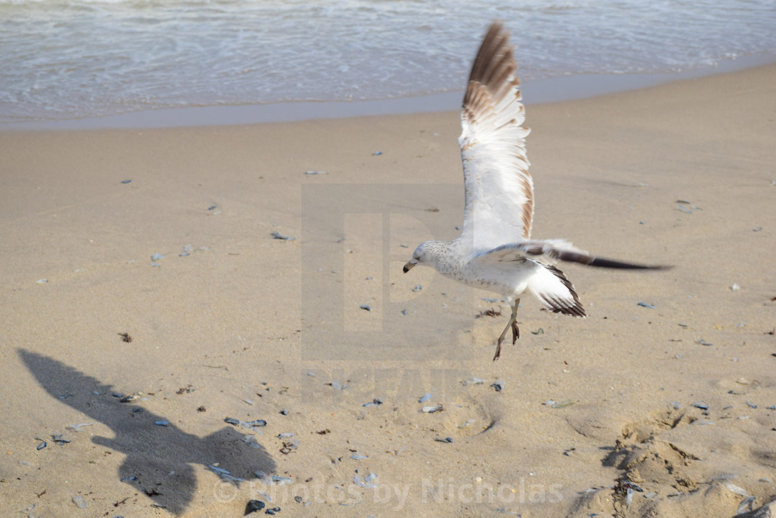 "Landing" stock image