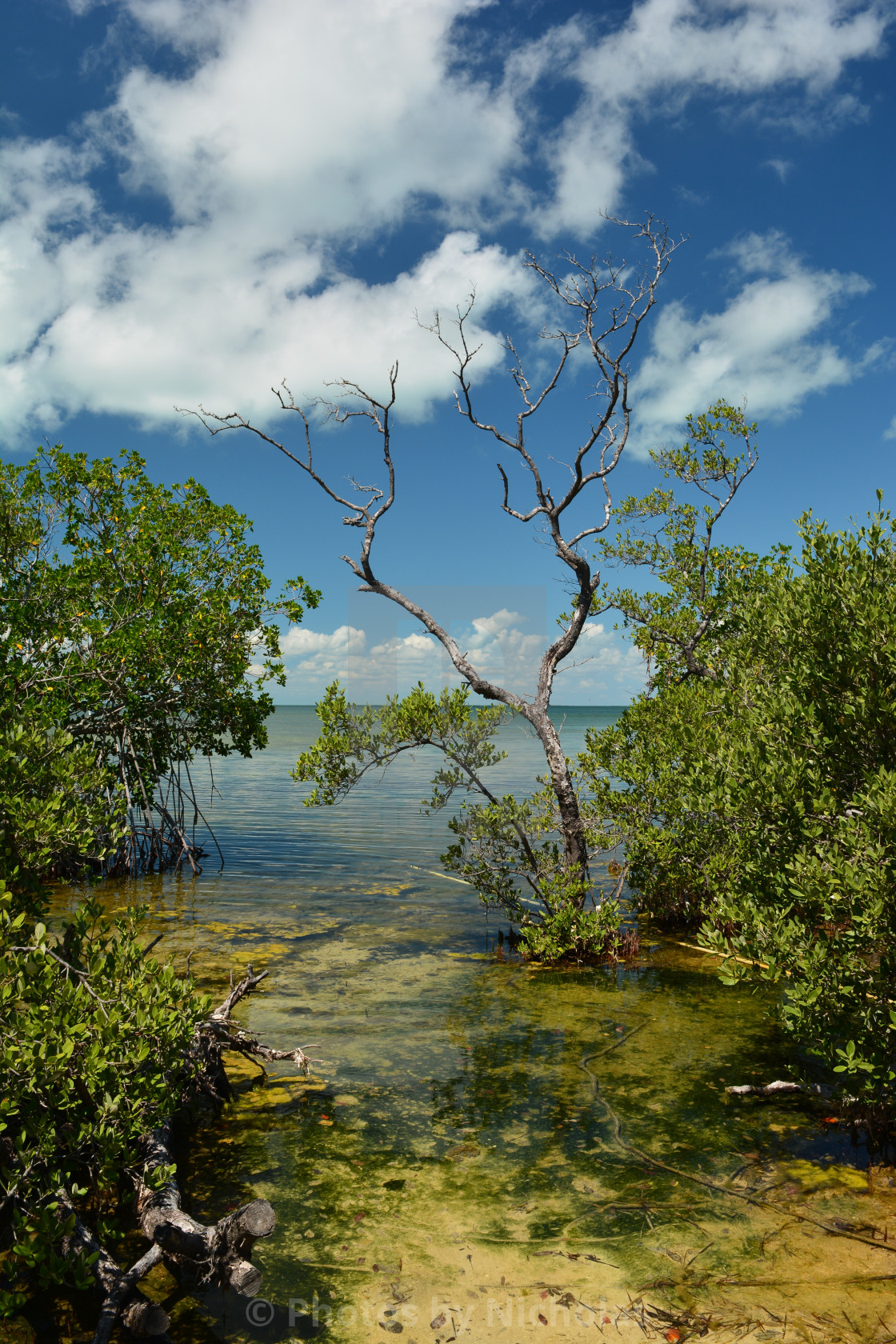 "Water view." stock image