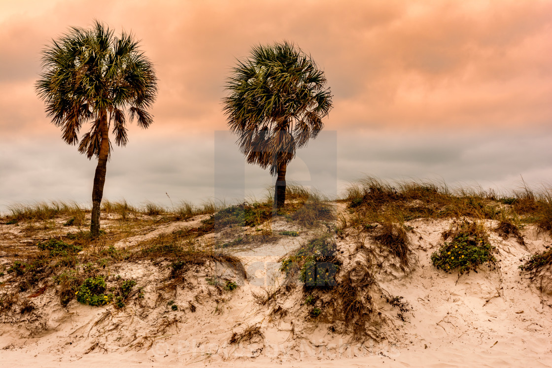 "Sand dunes." stock image