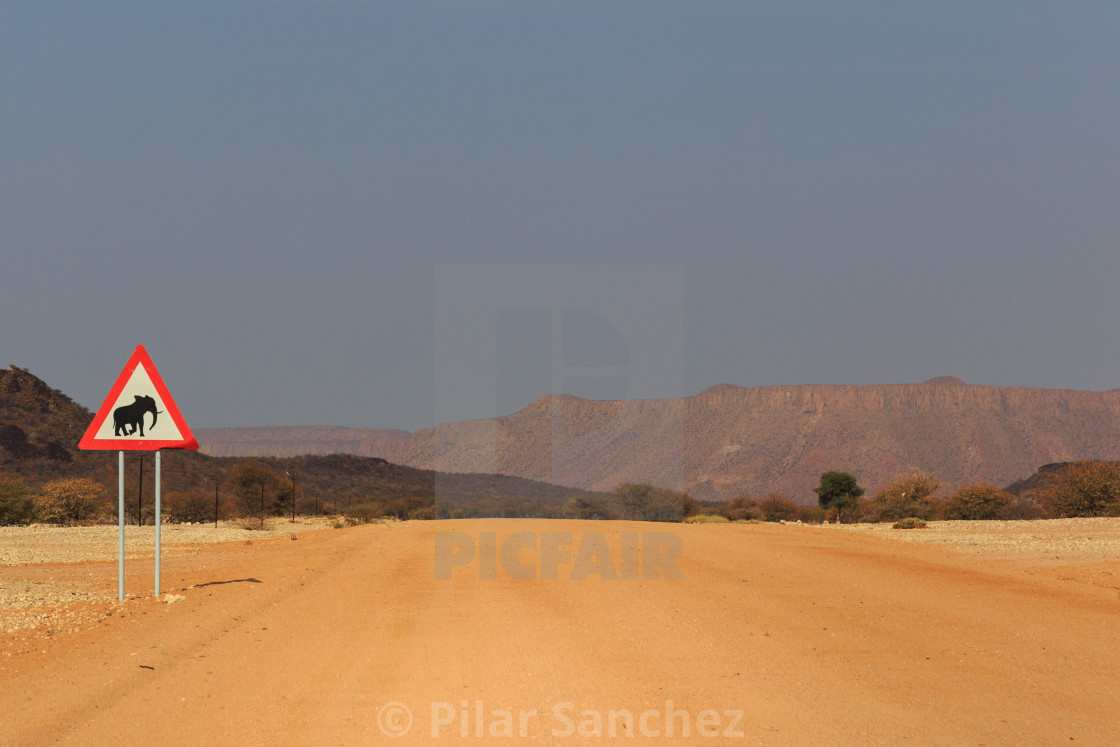 "Elephant road sign, Namibia" stock image