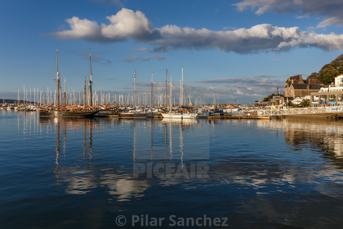 "Brixham harbour in the evening sun" stock image