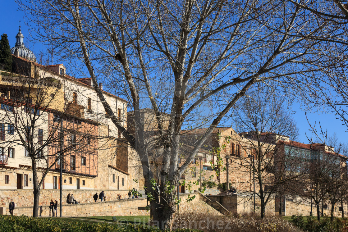 "Salamanca old town on a winter sunny day, Spain" stock image