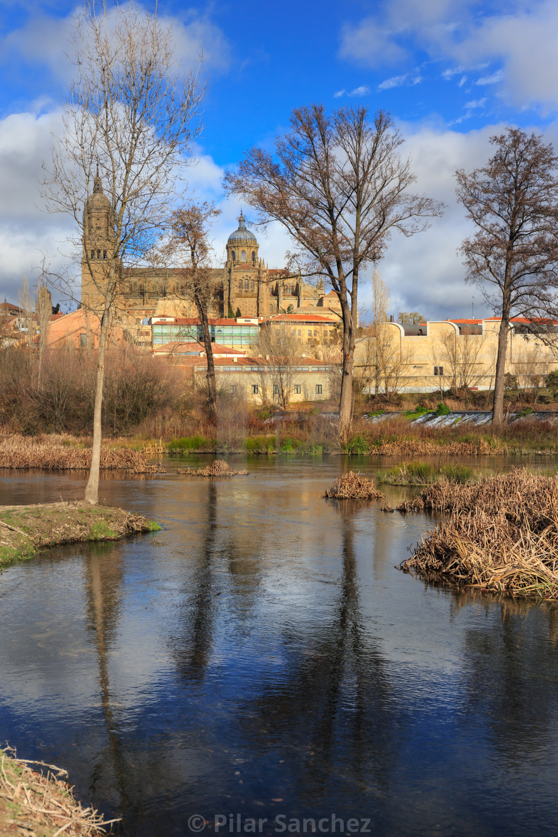 "Cathedral and Tormes river, Salamanca, Spain" stock image