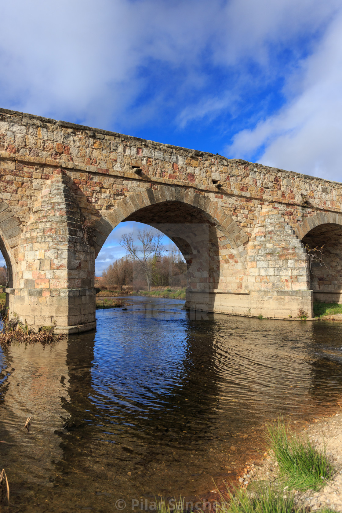 "Roman bridge arches and river Tormes, Salamanca, Spain" stock image