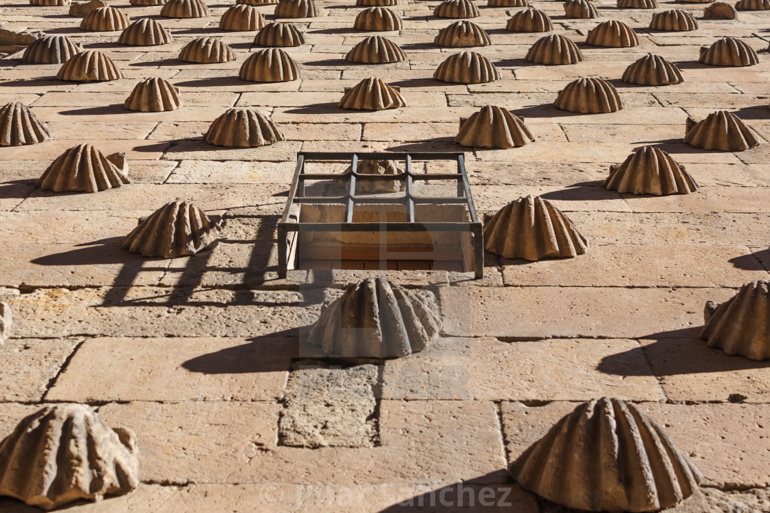 "Casa de las Conchas facade, Salamanca, Spain" stock image