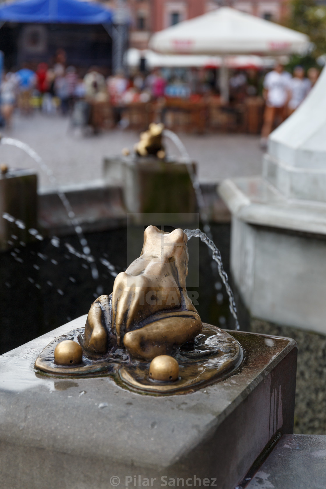 "Bronze gilded frog, Raftsman fountain, Torun, Poland" stock image