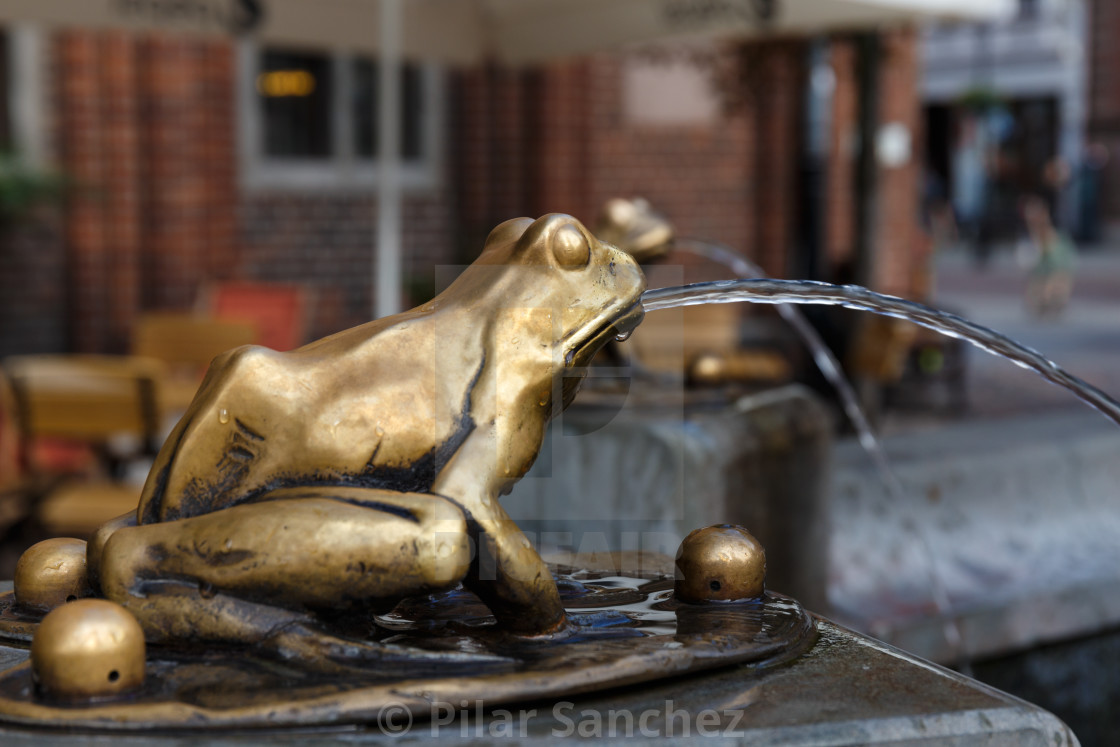 "Bronze gilded frog, Raftsman fountain, Torun, Poland" stock image