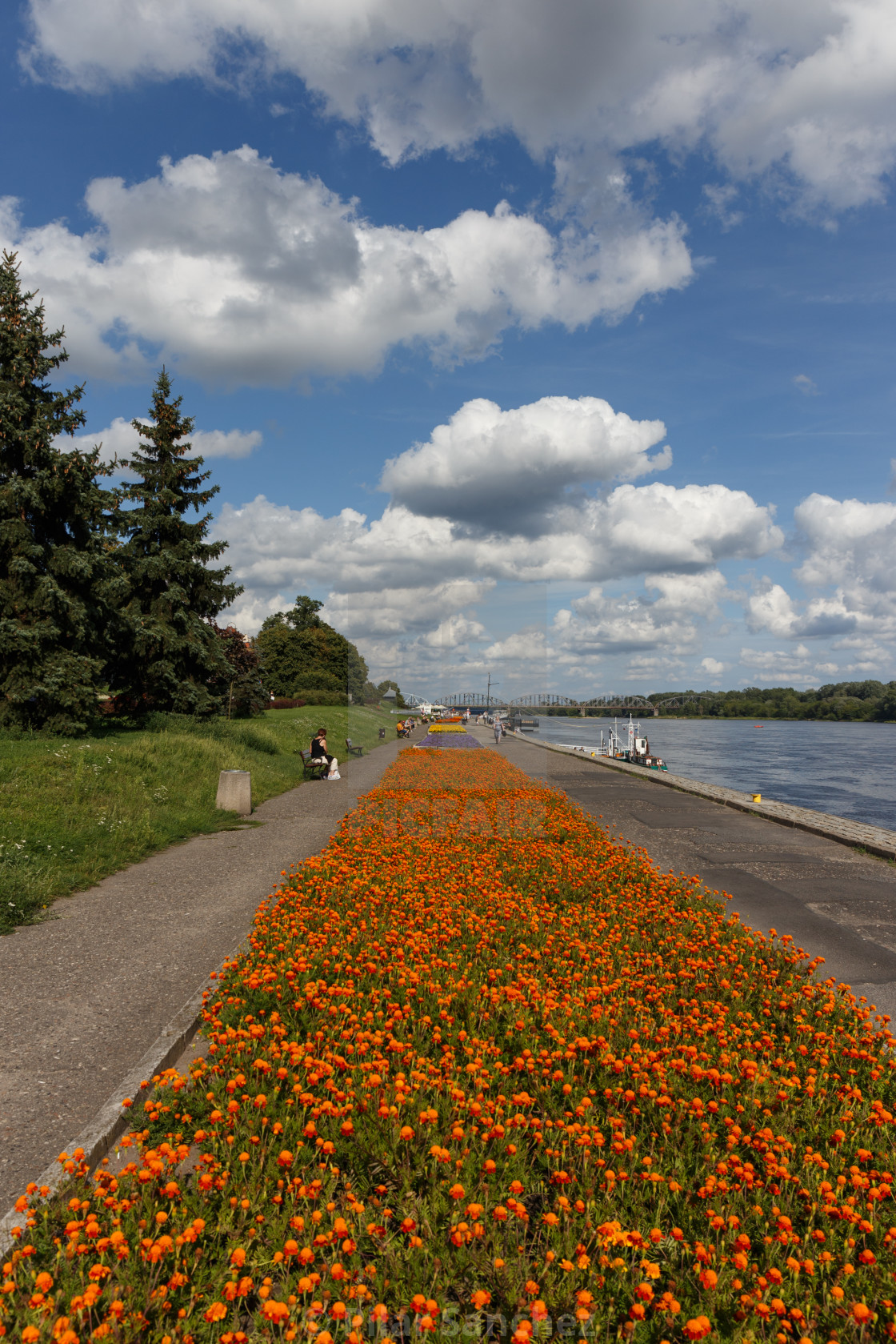 "Flowerbed along the riverside boulevard path in Torun, Polandistula Riverside Path" stock image