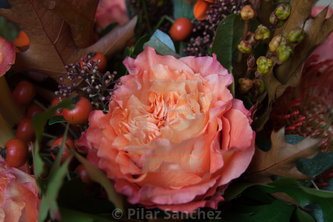 "Floral bouquet with pink Rose" stock image