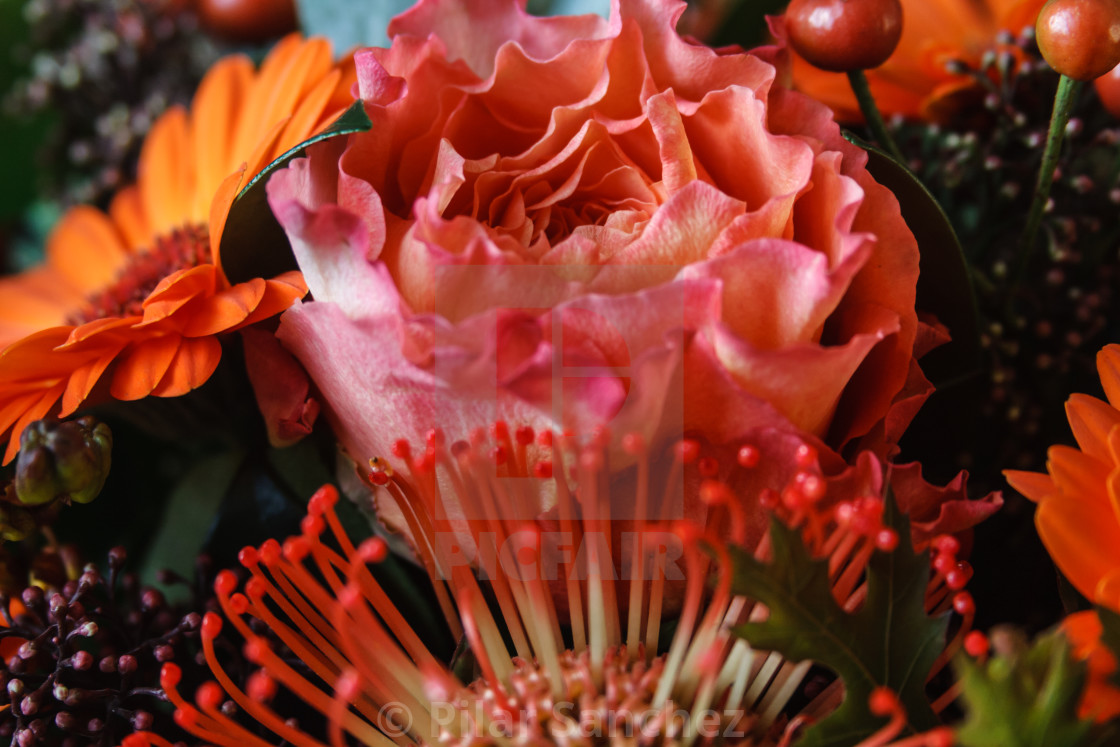 "Floral bouquet_I" stock image