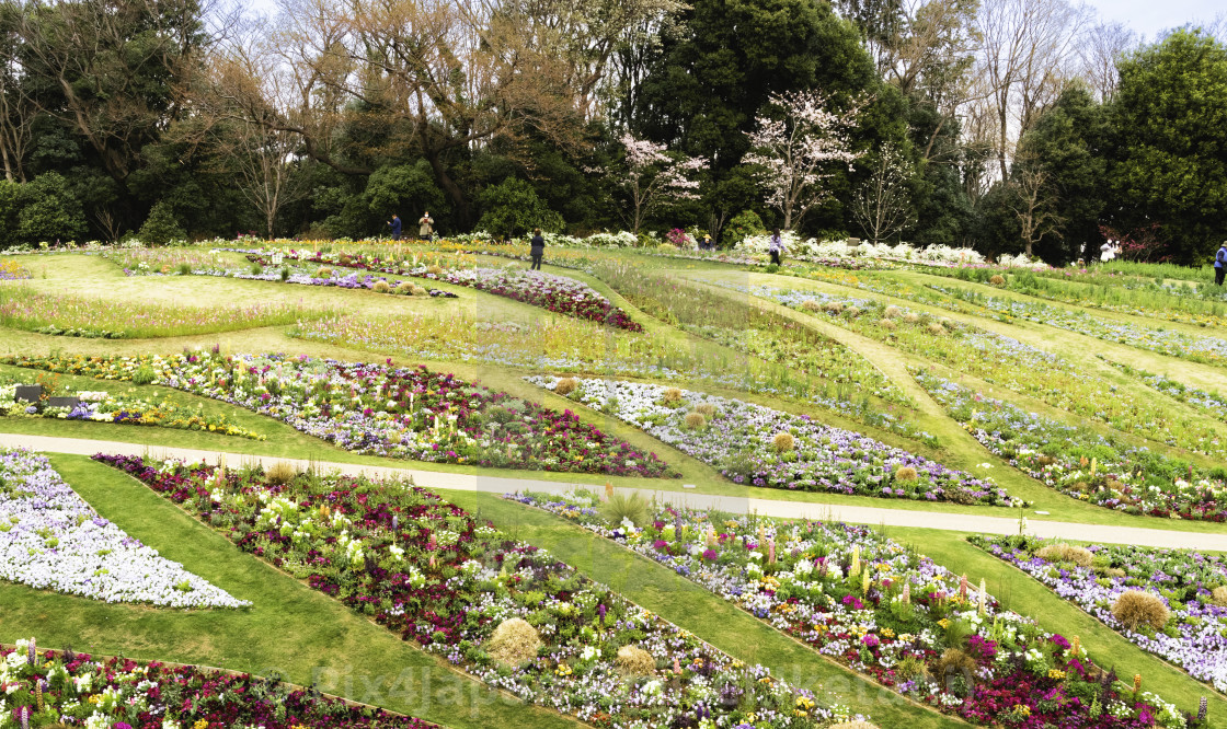 "Barrier-Free City Flower Garden Park" stock image