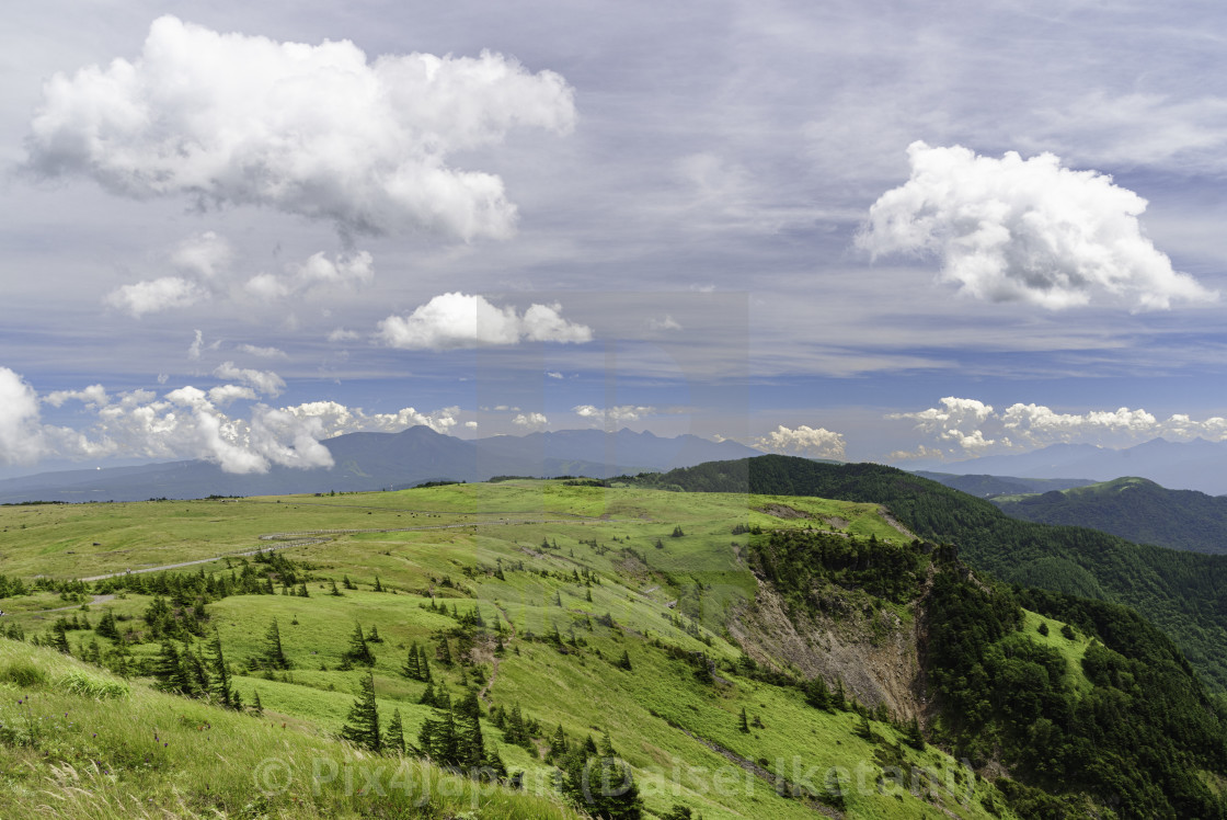 "Grassy Highlands" stock image