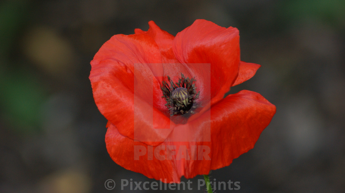 from £4.95