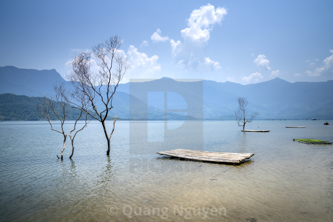 "Beautiful pictures of bamboo rafts with dry trees on Lap An lagoon, Hue city, Vietnam" by Quang Nguyen - $43.35 "Beautiful pictures of bamboo rafts with dry trees on Lap An lagoon, Hue city, Vietnam" stock image