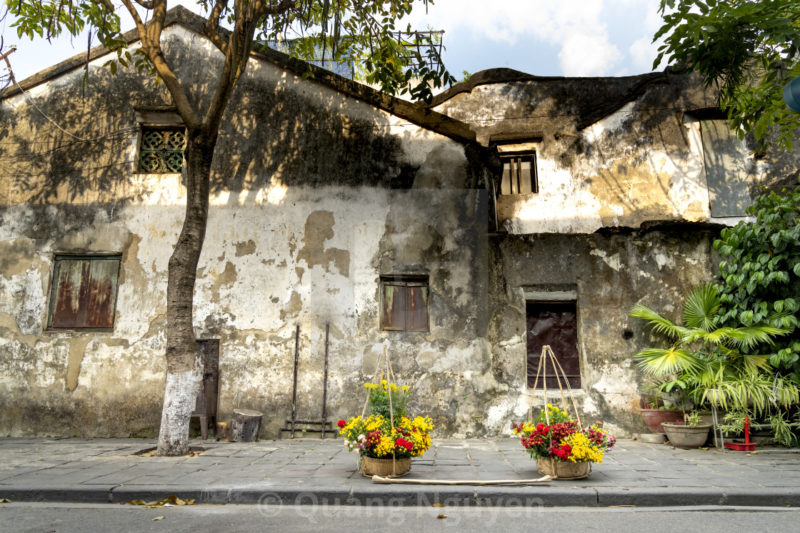 "A pair of bamboo frames full of flowers" by Quang Nguyen - $43.35 "A pair of bamboo frames full of flowers" stock image