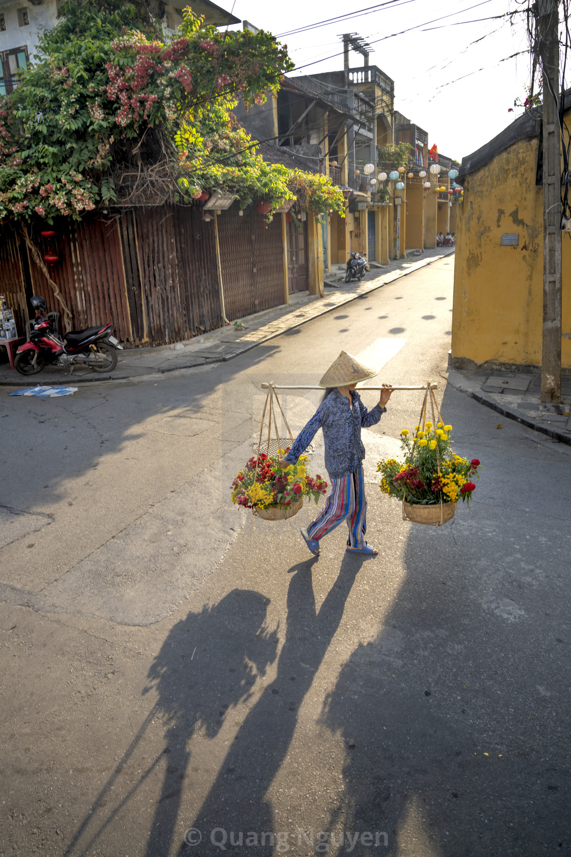 "a woman selling flowers on a pair of bamboo frames in Hoi An Ancient Town, Quang Nam Province, Vietnam" by Quang Nguyen - $43.35 "a woman selling flowers on a pair of bamboo frames in Hoi An Ancient Town, Quang Nam Province, Vietnam" stock image