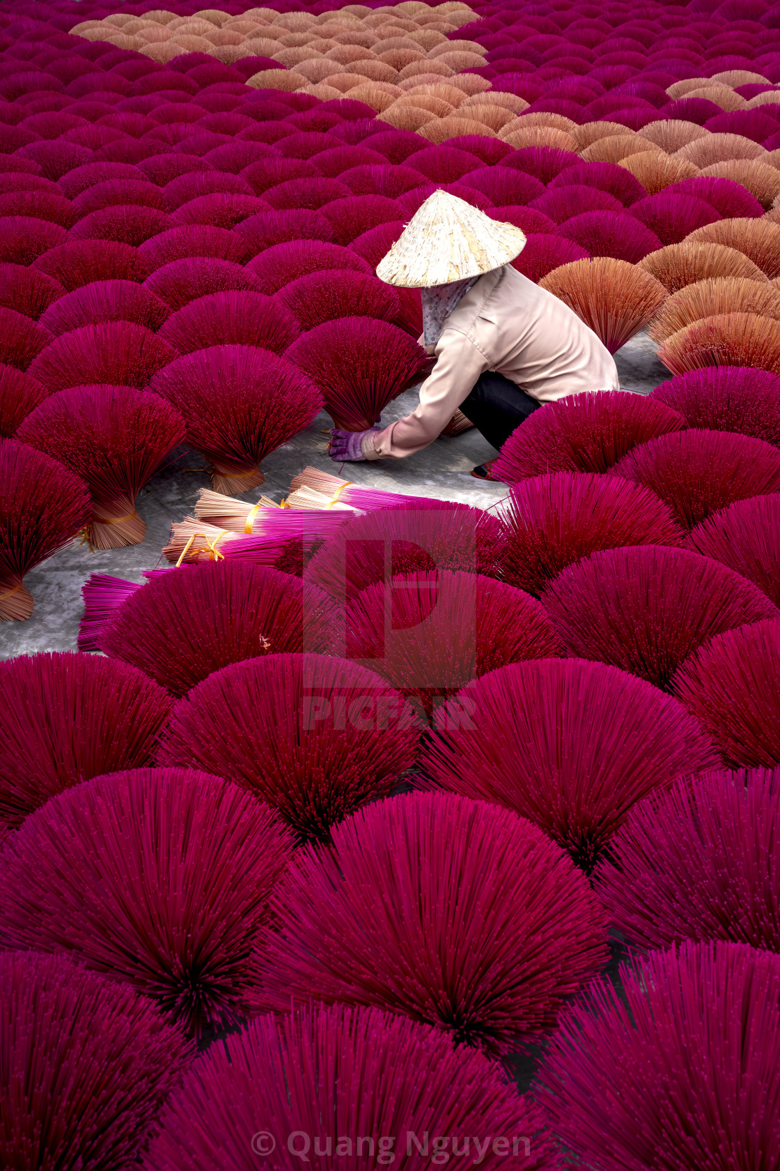 "Traditional village workers of Ung Hoa incense are doing the incense drying process" by Quang Nguyen - $43.35 "Traditional village workers of Ung Hoa incense are doing the incense drying process" stock image