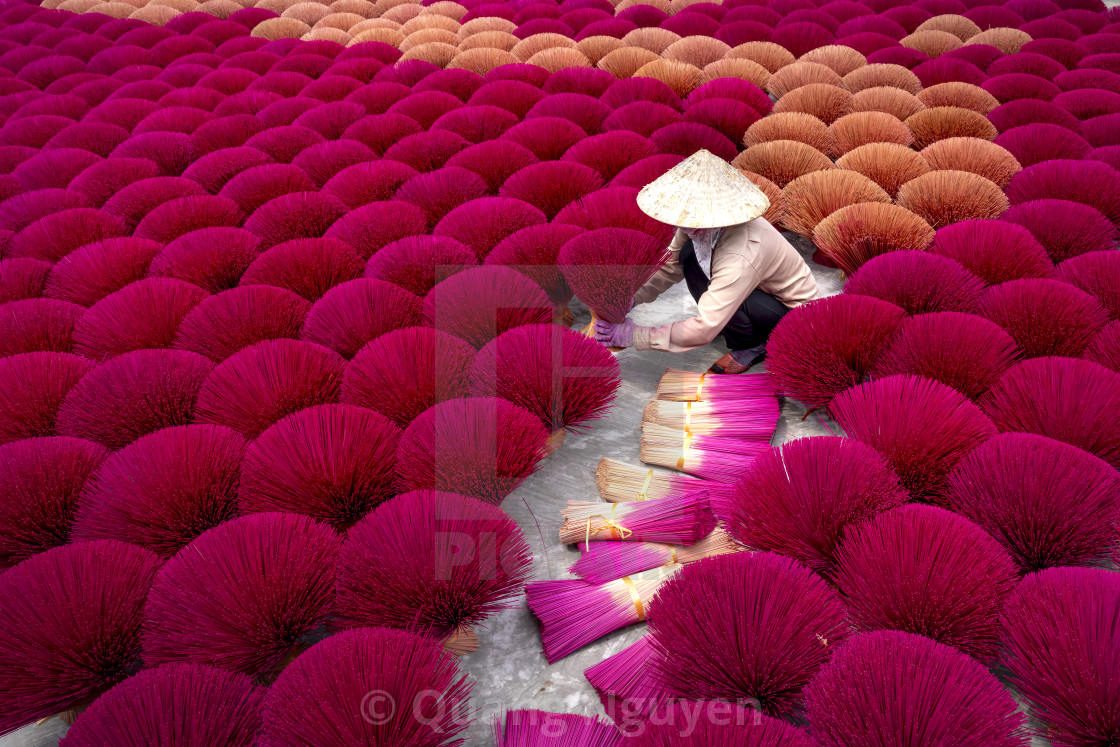"Traditional village workers of Ung Hoa incense are doing the incense drying process" by Quang Nguyen - $43.35 "Traditional village workers of Ung Hoa incense are doing the incense drying process" stock image