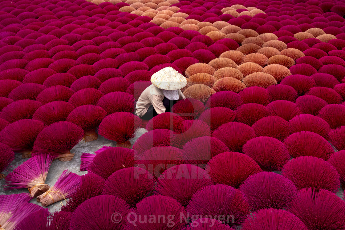 "Traditional village workers of Ung Hoa incense are doing the incense drying process" by Quang Nguyen - $43.35 "Traditional village workers of Ung Hoa incense are doing the incense drying process" stock image