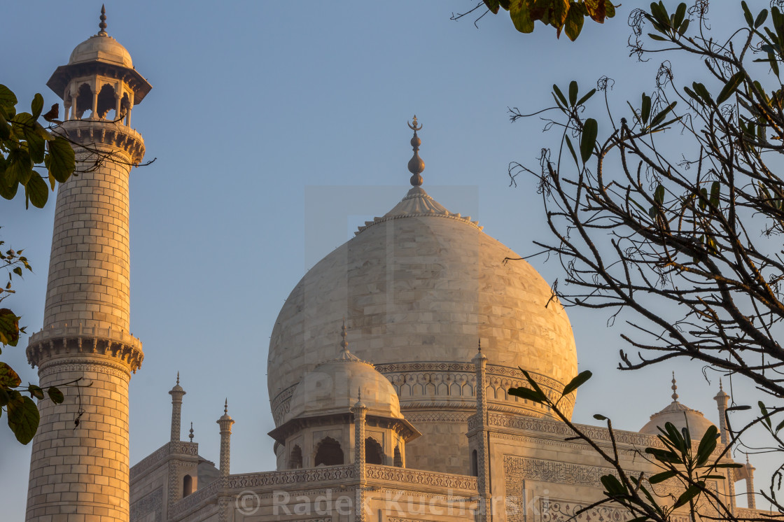 "Taj Mahal's dome & minaret lit by the golden light of sunrise" stock image