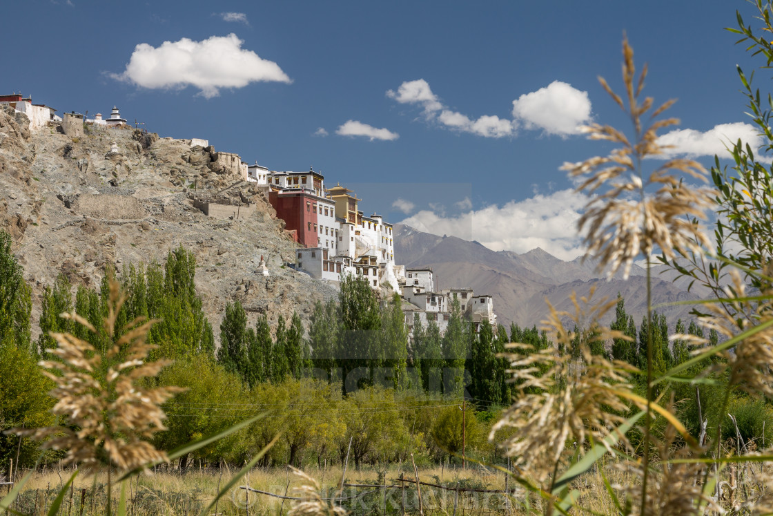 "Spituk monastery seen from the Indus Valley, Ladakh" stock image