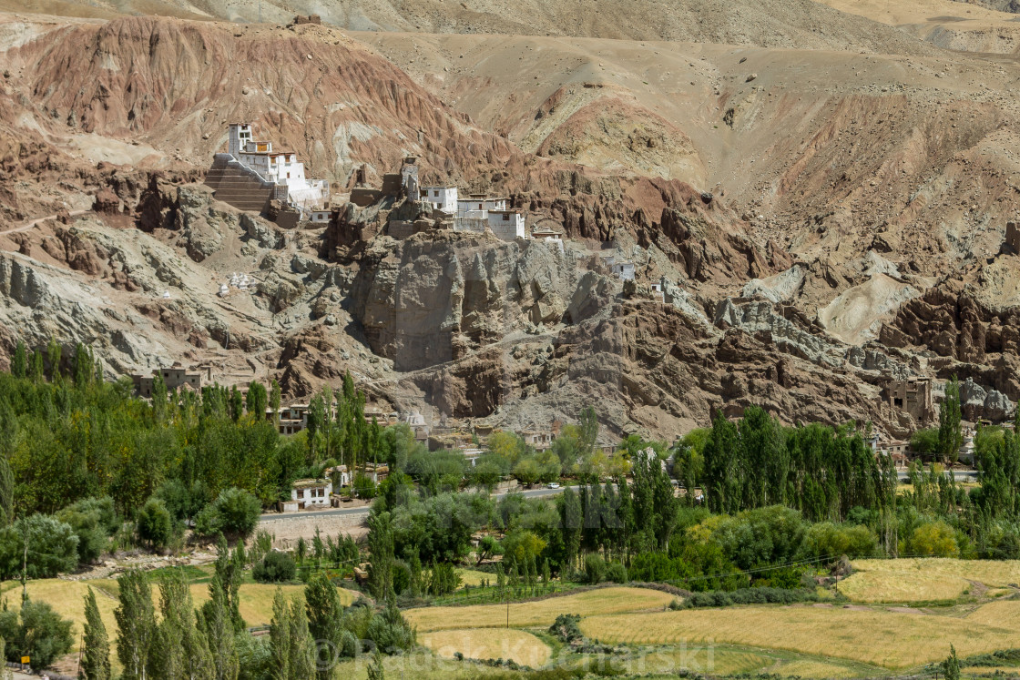 "Basgo village at the harvesting time and the monastery above" stock image