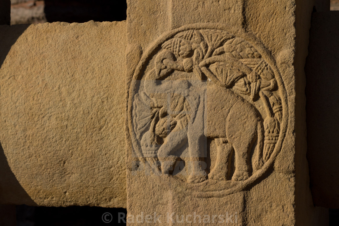 "An elephant carved in a decorative medallion" stock image