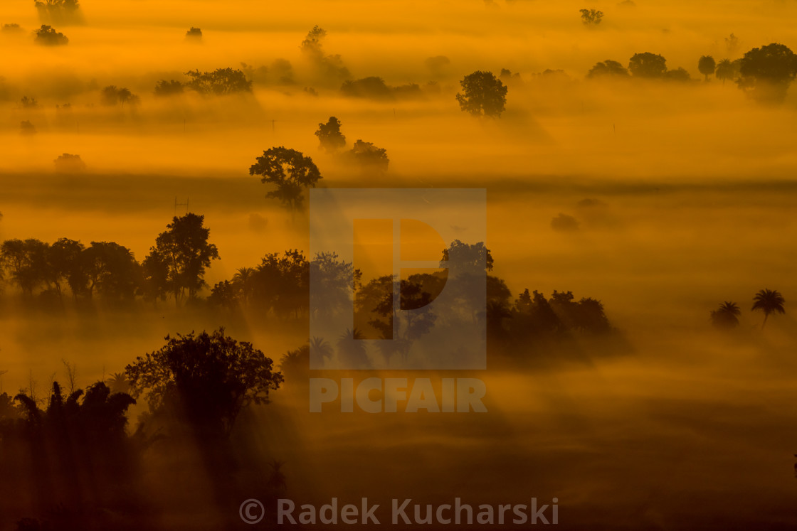 "Fields of gold" stock image