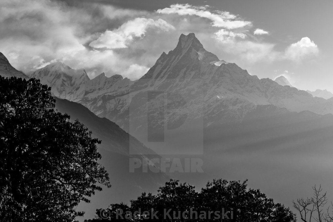 "Machapuchare at sunrise. A monochrome photograph." stock image