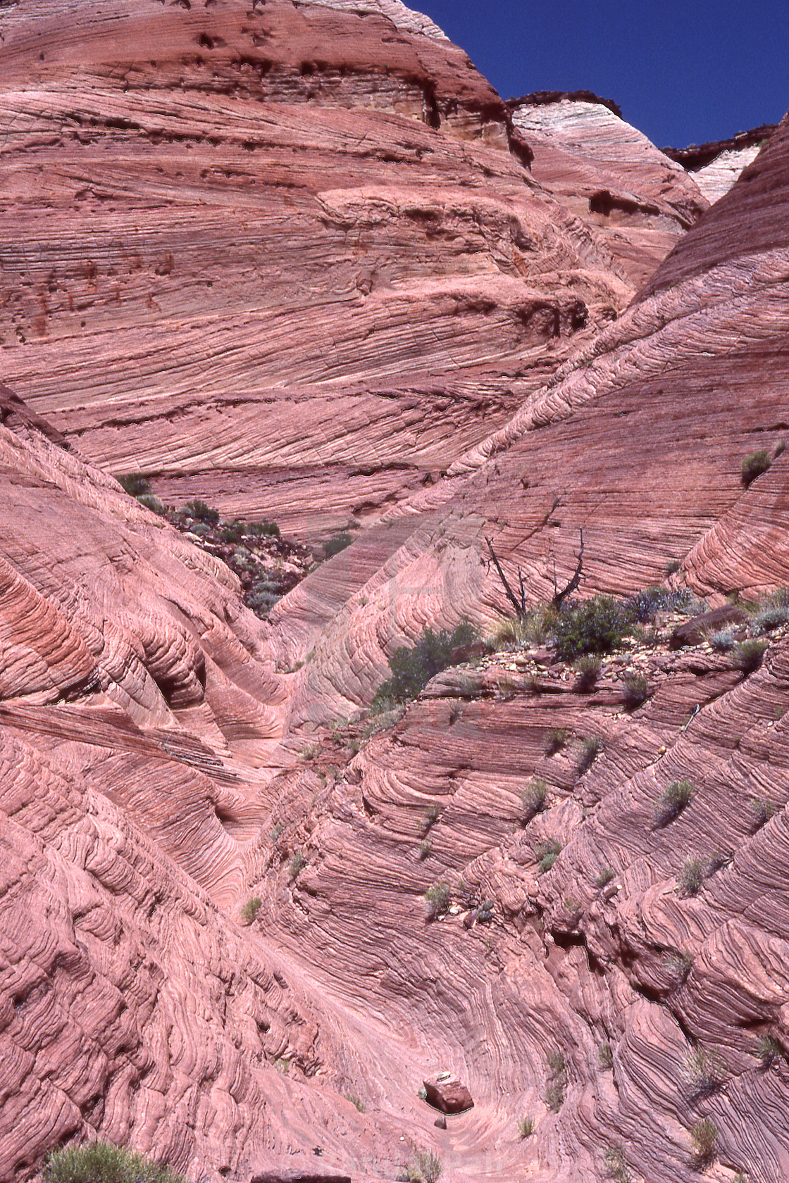 "A slickrock valley" stock image