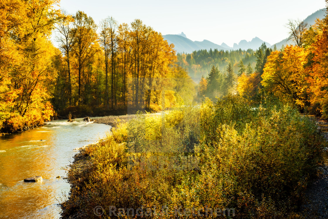 "North Fork Stillaguamish River, Oso Loop Road, Bank Brush" by Randal R Ketchem - $15.39 "North Fork Stillaguamish River, Oso Loop Road, Bank Brush" stock image