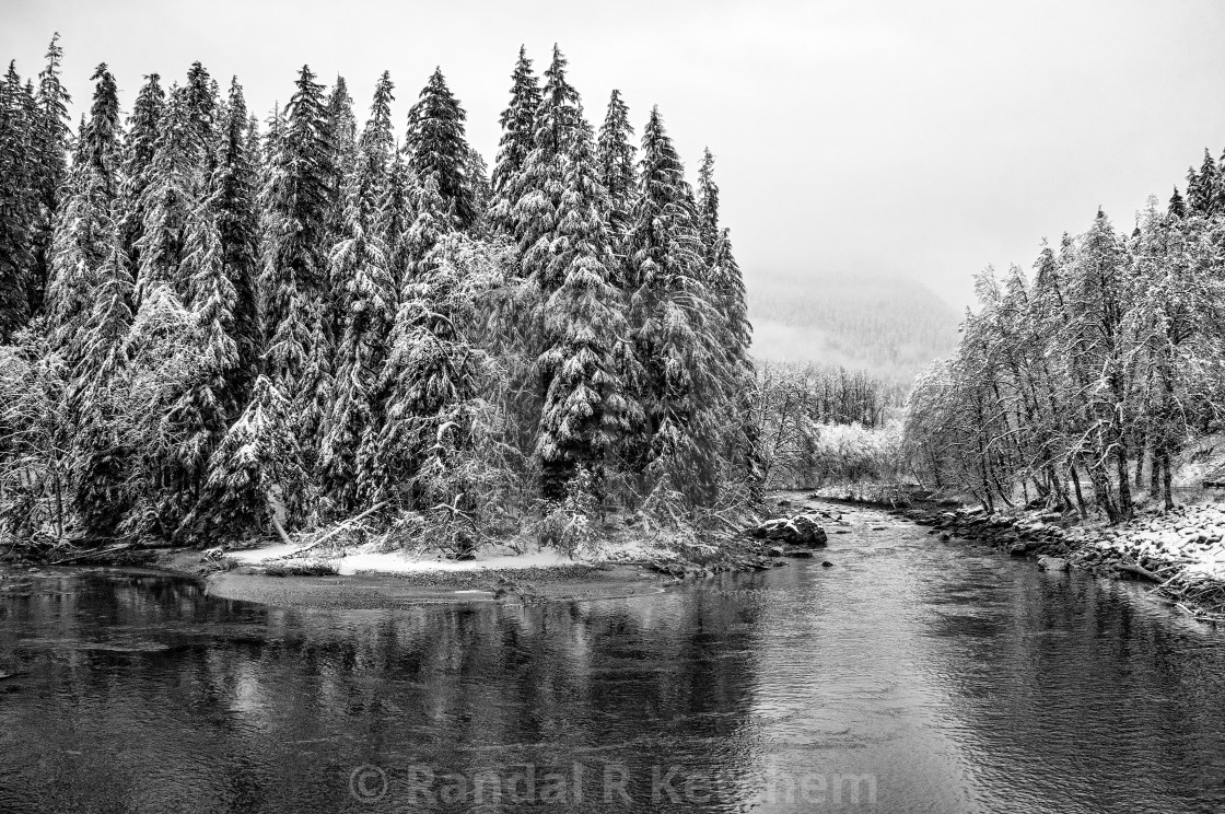 "South Fork Stillaguamish River, Very Cold" by Randal R Ketchem - $15.39 "South Fork Stillaguamish River, Very Cold" stock image