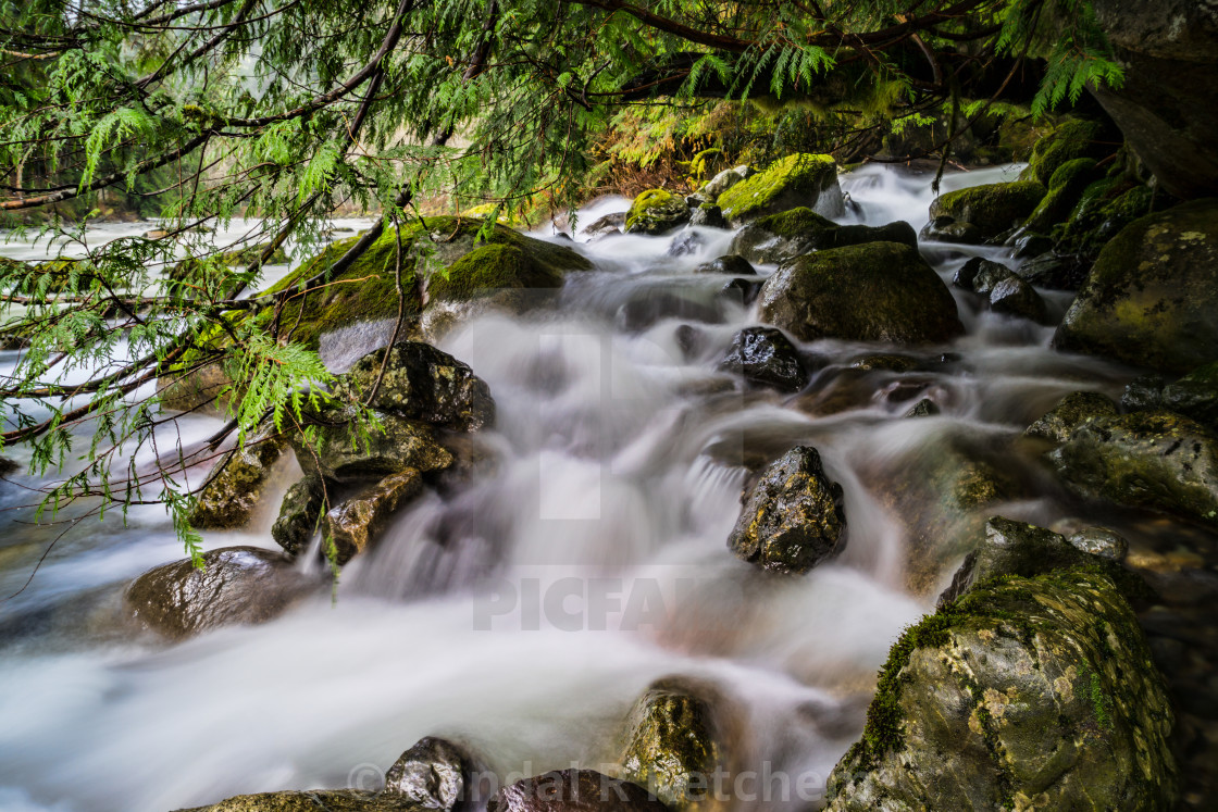 "Twentytwo Creek, Flowing Into South Fork Stillaguamish River" by Randal R Ketchem - $15.39 "Twentytwo Creek, Flowing Into South Fork Stillaguamish River" stock image