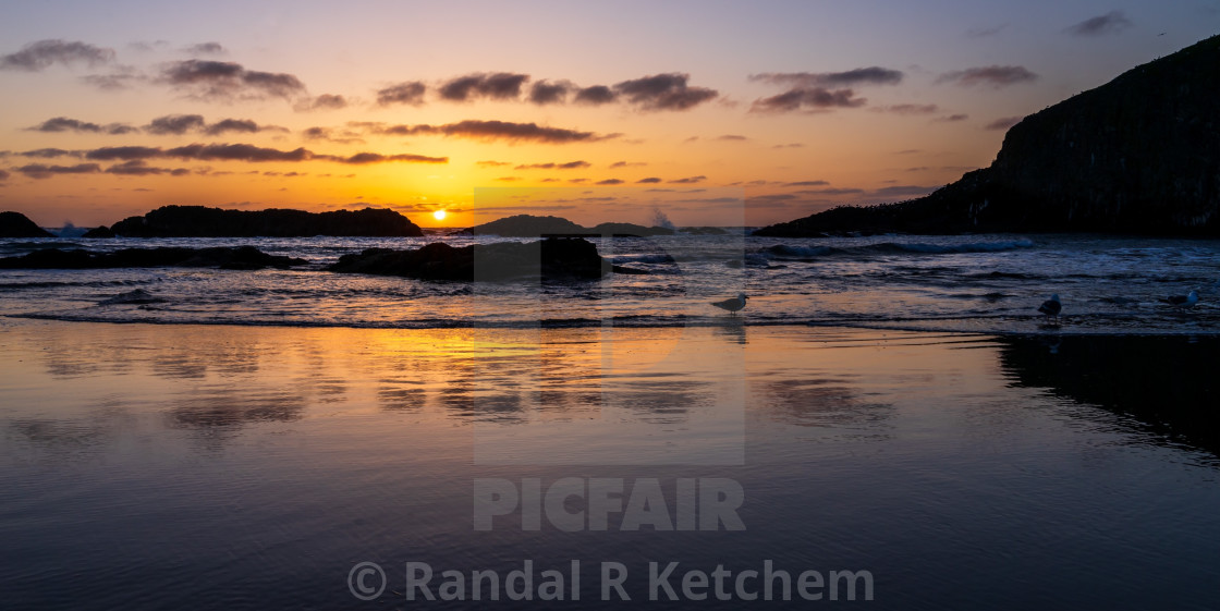 "Seal Rock Sunset, Seagulls Chillin" by Randal R Ketchem - $15.39 "Seal Rock Sunset, Seagulls Chillin" stock image